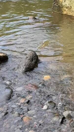 Mancing pakai umpan buatan