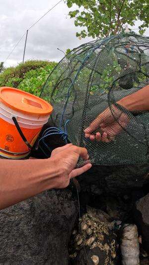 Shrimp trap #unique #creative