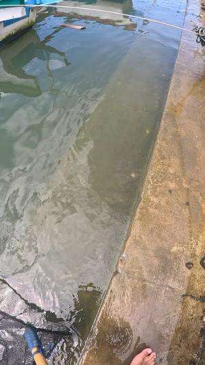 menang saetik😂 #usa #usareels #newyork #germany #fyp #australia #luksemburg #ingris #belanda #skils #shrimp #fisherman #selandiabaru #irland