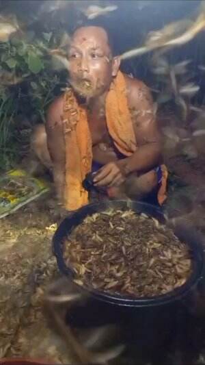 Nekat makan laron gimana rasannya ya?