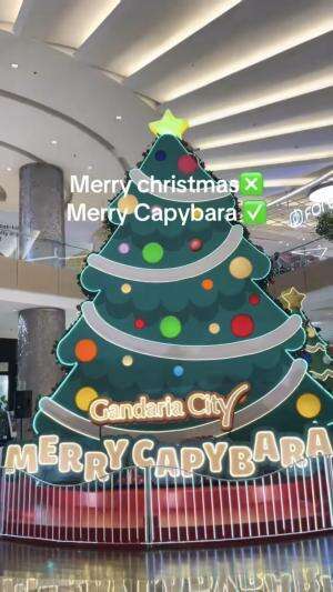 merry christmas diganti jadi merry capybara ⁉️