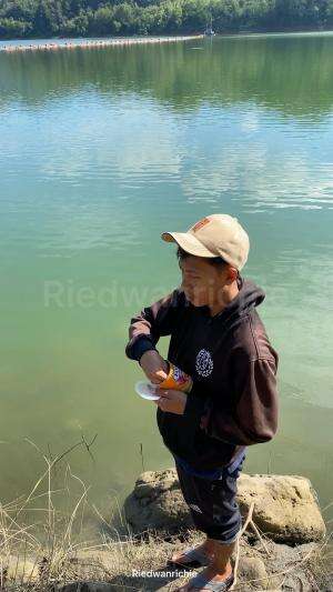 Sebar ulat kandang  #pets 