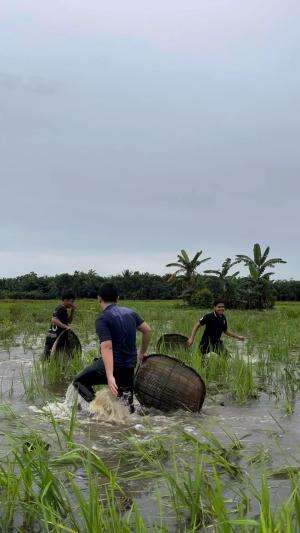 Cari ikan menguliling 
