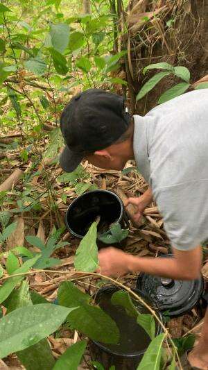 Kita umpetin dulu ikannya karna banyak dapat 