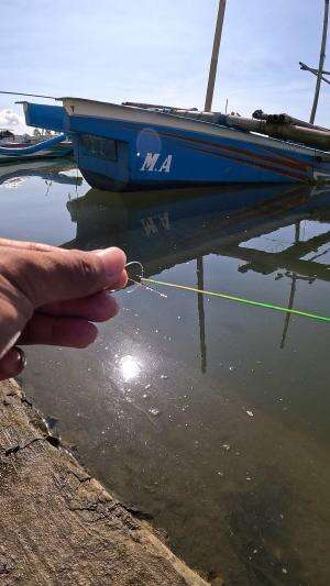 tutorial nangkap udang #mancing #fishing #shrimp #udang #nelayan #laut #jaring #ikan #reelsviral #animals #skill #fyp #trending