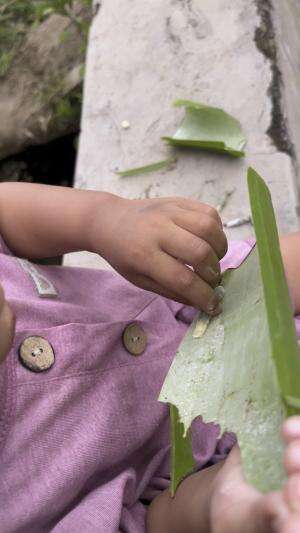 Ga takut ama ulet haha padahal mamahnya agak takut demi kamu nak mamah petikin itu ulat dari pohonnya haha