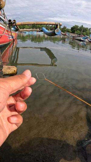 cara kami nangkap udang #mancing #fishing #shrimp #udang #nelayan #laut #jaring #ikan #reelsviral #animals #skill #fyp #trending
