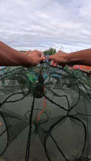 melempar perangkap udang