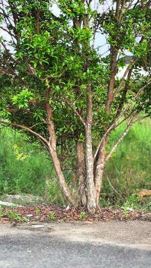 Butuh pertolongan  #bengkel drama 