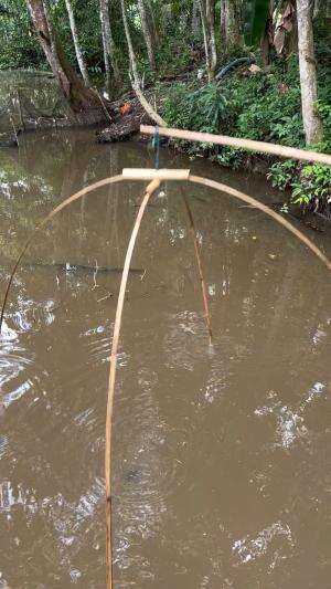 Alat hancau ini mudah dapetin ikan