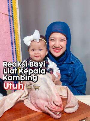 Ajarin anak liat kepala kambing  #markitry 