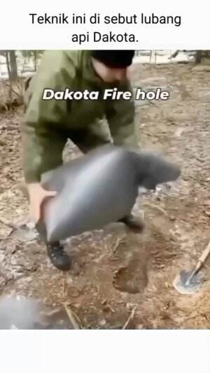  bisa ya