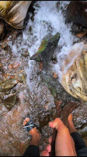 Harta karun yang terabaikan disungai 