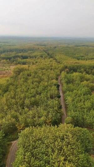 Selamat pagi Bojonegoro 😊 #drone #dji #hutan #jati #bojonegoro #jedamergawe #fyp #capcut #RCTIPlus  #HOTrctiplus  #RCTIoke  #rctiofficial 