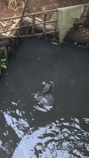 Mancing ikan❌ Mancing burung✅