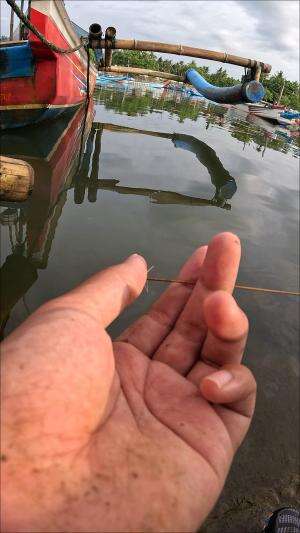 cara gampang nangkap udang #mancing #fishing #shrimp #udang #nelayan #laut #jaring #ikan #reelsviral #animals #skill #fyp #trending