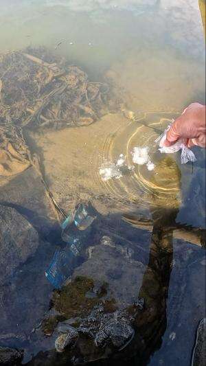 cara menangkap udang #udang #nelayan #laut #jaring #ikan #fbpro #reels #reelsviral #duniaikan #skils #fyp #trending