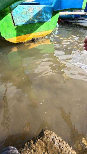 mancing udang dibawah perahu
