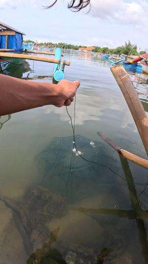 hasil tangkapan bubu undang #udang #nelayan #laut #jaring #ikan #fbpro #reels #reelsviral #duniaikan #skils #fyp #trending