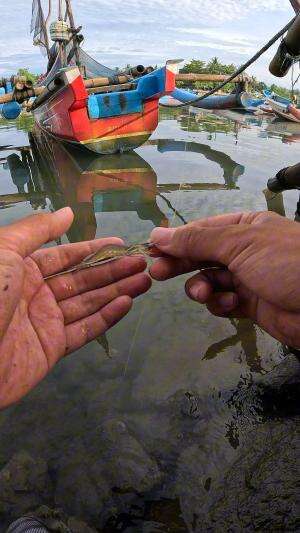 the art of fishing for small shrimp #fishing #shrimp #fish #sea #traditional #usareels #UnitedStates #reelsviral #skils #fyp #trending