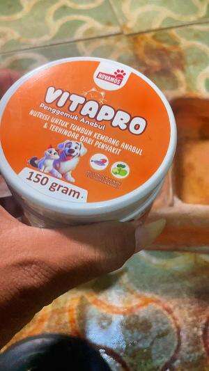 vita pro pengemuk kucing #vitapro#fyp