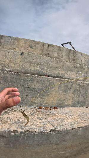 hampir kabur #udang #nelayan #laut #jaring #ikan #fbpro #reels #reelsviral #duniaikan #skils #fyp #trending