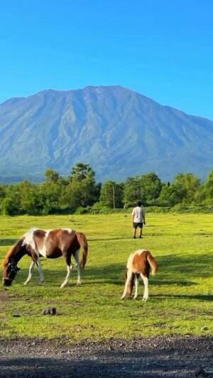 Savana Tianyar, Karangasem, Bali