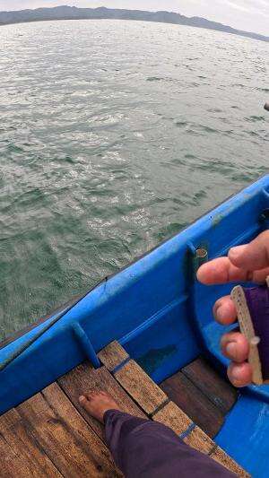 menangkap keong laut #udang #nelayan #laut #jaring #ikan #fbpro #reels #reelsviral #duniaikan #skils #fyp #trending