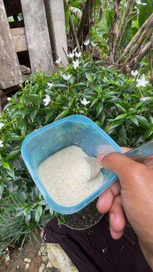 Experiment bikin api cuma pakai gual
