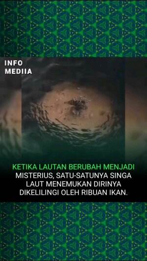 Saat pemburu diburu!

Anda mungkin berpikir lonfish, dengan duri berbisa dan keterampilan berburu tersembunyi, apakah tak terhentikan-tetapi