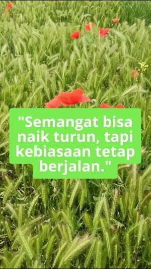 Semangat dalam diri mungkin bisa naik turun, akan tetapi kegigihan untuk terus mencoba yang akan merubah segalanya #quotes  #motivasi  #sema