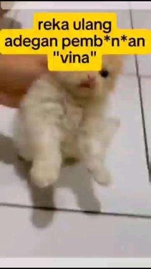 PRA ADEGAN REKA ULANG