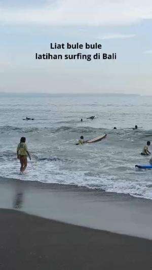 liatin bule bule surfing di pantai Berawa Canggu Bali  #Bali  #surfing 