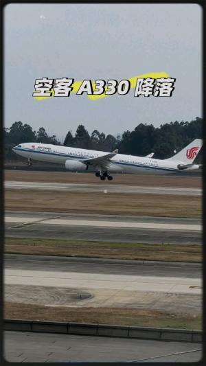 GEAR DOWN, FLARE ON! The Ultimate Landing Experience! #shorts #airplane