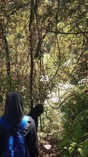 Tracking Coban Di Benjor Part 23
#jalan #benjor #setapak #coban #cinde #sanusi #cakra #srikandi #ngalam