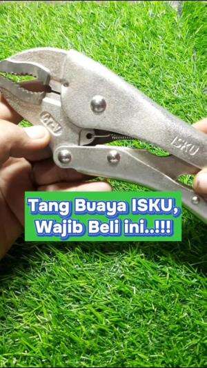 Tang Buaya ISKU #fyp #tangbuayaisku #isku 