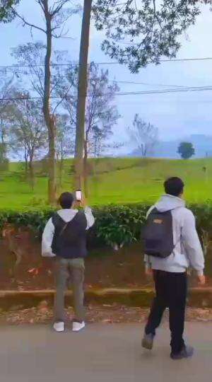 liburan di kota garut  #traveling  #Garutjawabarat 