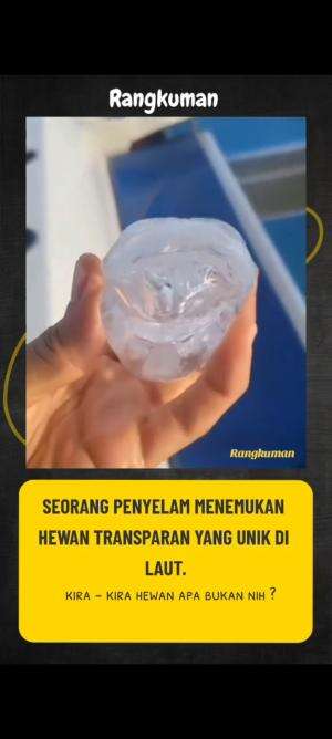 APA KITA SATU PEMIKIRAN ? 😂 #faktaunik #faktamenarik #faktadunia #virall 