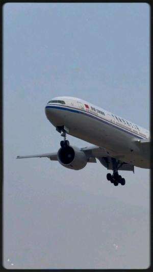 GREASER LANDING! When Pilots Make it Look Easy! #shorts #airplane