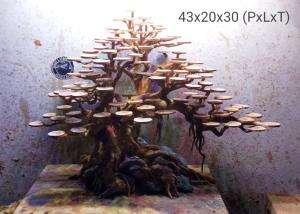 #Bonsai
 #Aquascape
 #aquascape_indonesia
#Bonsai_aquascape
# Hardcape_aquascape 