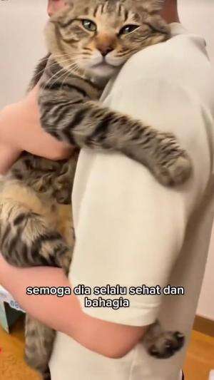 yaa allah

#HOTrctiplus #shortplus #kucingoyen #duniakucing
