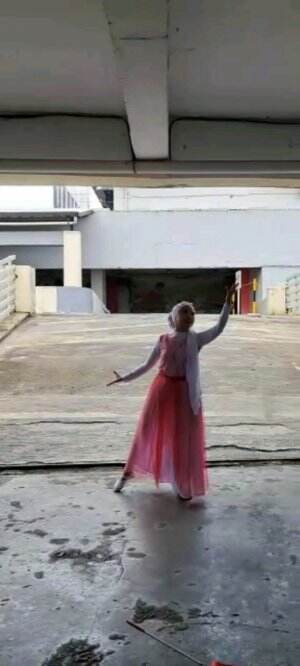 A Dream Is A Wish Your Heart Makes - Lily James (Ribbon Dance by Nirvana SL)