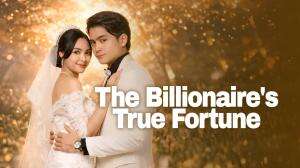 The Billionaire's True Fortune