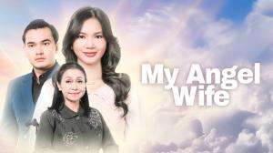 My Angel Wife