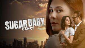 Sugar Baby Diary