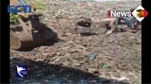 Viral! Warga Berebut Daging Di Tumpukan Warga
