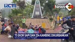 Sapi Kurban Dusun Kecil