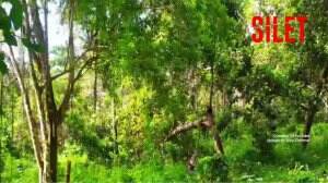 Menguak Misteri Desa Ghaib "Desa Besari"