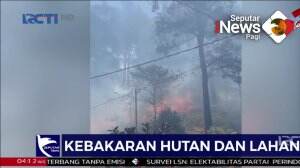 Kebakaran Hutan Pinus di Goa, Sulawesi Selatan