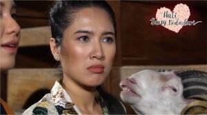Tanduk Domba Harus Diberi Minyak - HSB Eps. 191